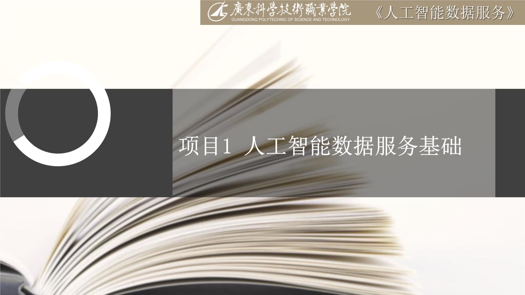 人工智能數據服務基礎 數據處理與數據處理服務